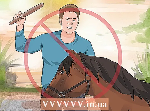 Как да поставите халтер на кон