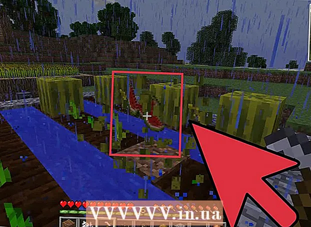 Minecraft में कद्दू के बीज कैसे खोजें