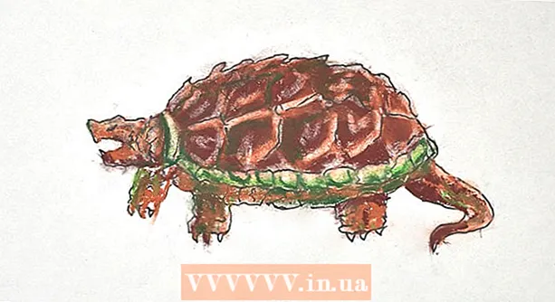 Hoe teken je een schildpad