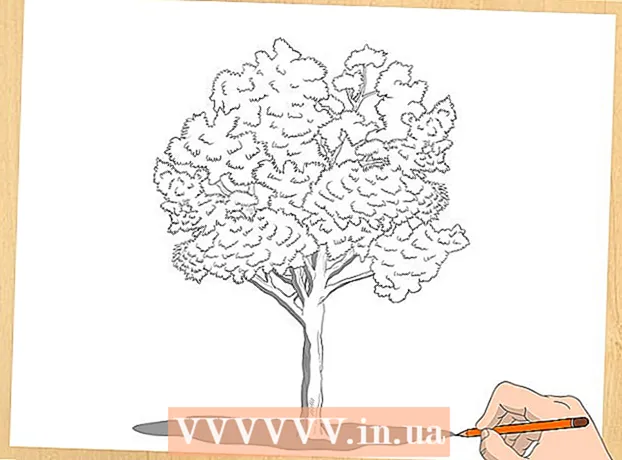 Come disegnare un albero