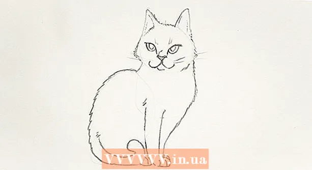 Com dibuixar un gat