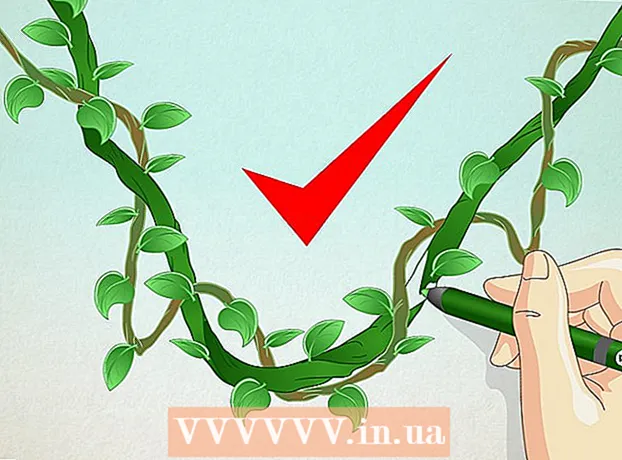 How to draw a vine in the jungle