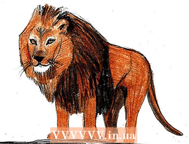 Kuinka piirtää leijona
