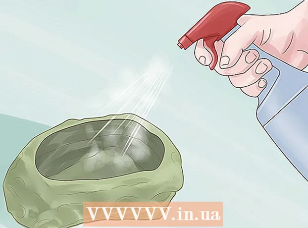Ako naučiť bradatého draka piť z misky s vodou