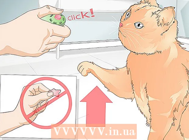 Hvordan man lærer en kat at give en pote
