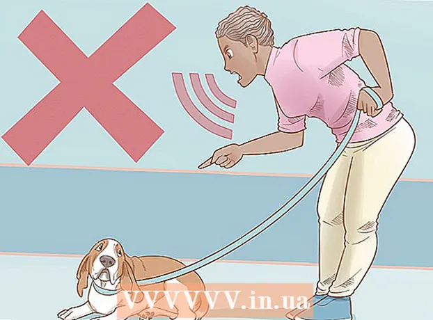 Як навчити собаку ходити поруч без використання нашийника-зашморгу