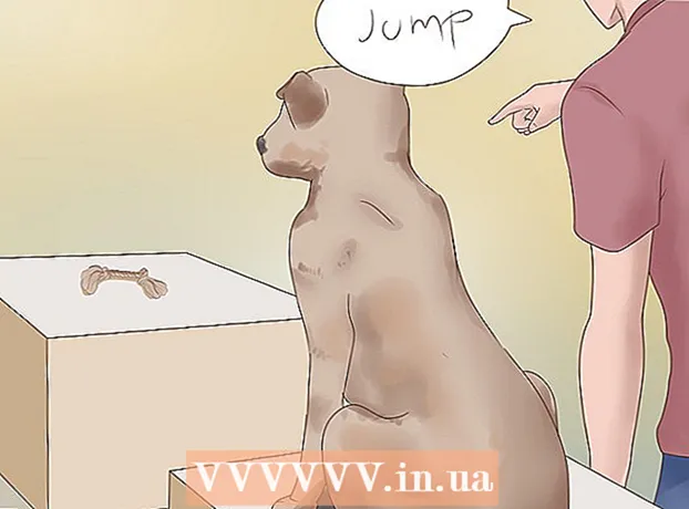 Πώς να μάθετε στον σκύλο σας να πηδάει