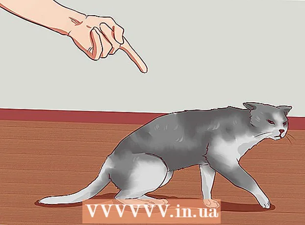 Kaip drausminti savo katę