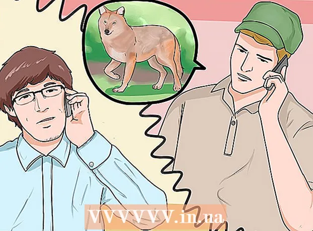 How to keep coyotes out of campsites and farms
