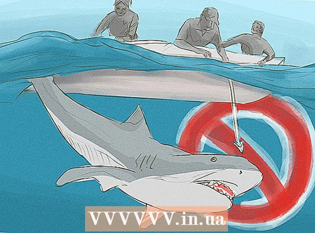 Πώς να μην πέσετε θύματα ενός καρχαρία