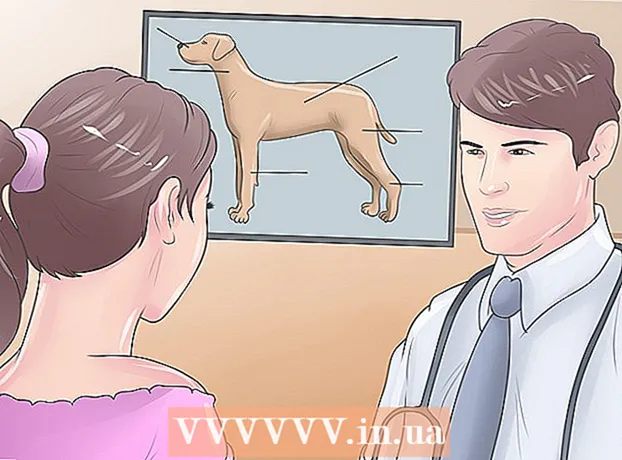 כיצד להתייחס לפציעות ACL בכלבים ללא ניתוח
