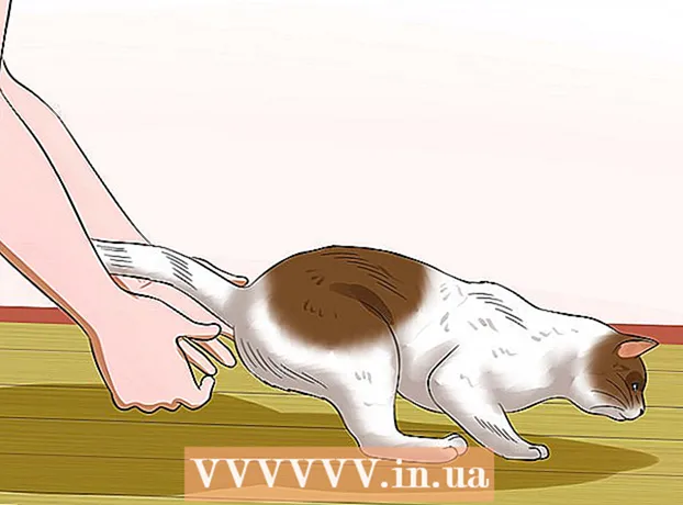 Как да носите котка на ръце