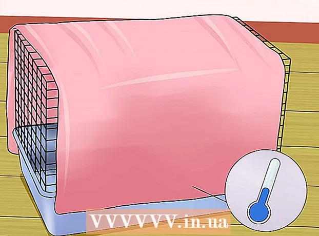 Kako ohraniti hrčka hladnega v vročem vremenu