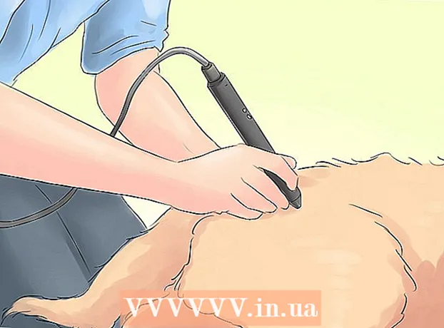 Come alleviare il dolore all'anca nei cani