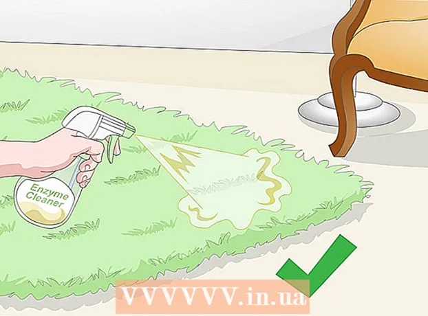 How to detect cat urine with an ultraviolet lamp