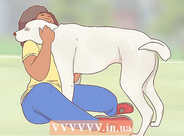 Kako odgajati psa pomagača bez profesionalnog instruktora