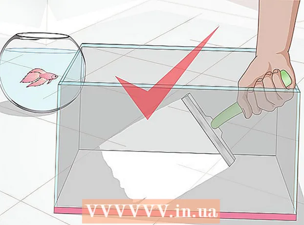 Kaip įrengti kovinį žuvų akvariumą