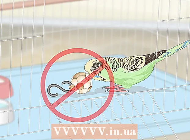 How to set up a bird cage