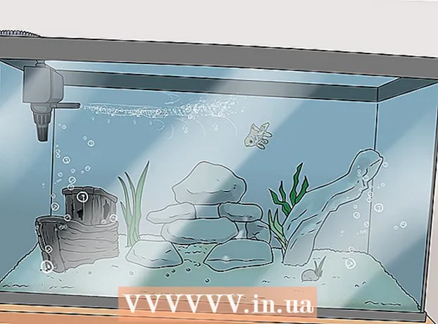 Paano mag-set up ng isang malusog na aquarium ng goldpis