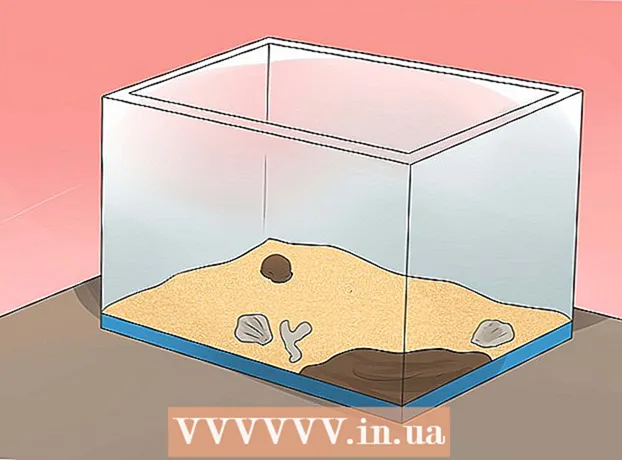 Како очистити акваријум ракова пустињака