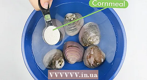 Hur man rengör musslor