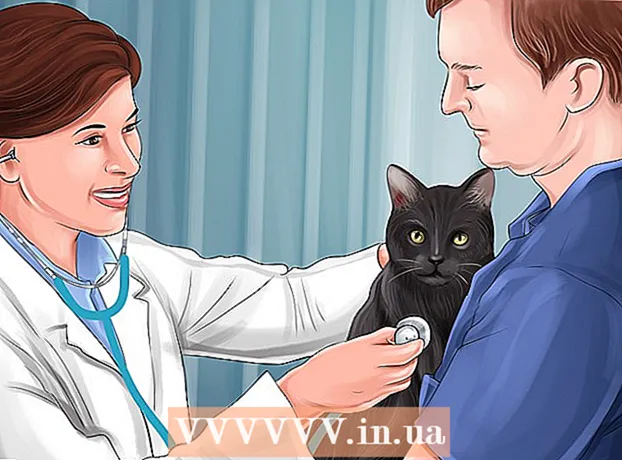 Cómo ayudar a un gato con envenenamiento