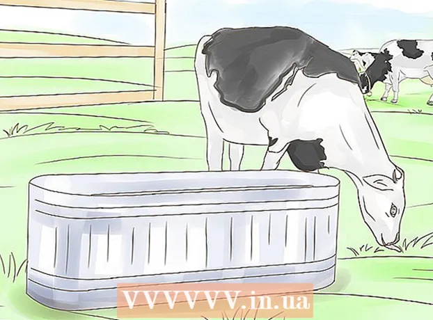 Bagaimana menentukan jumlah optimal sapi per hektar padang rumput Anda