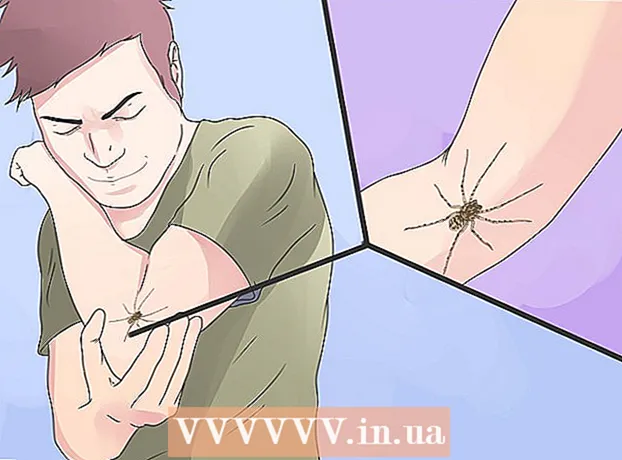 थूकने वाली मकड़ी की पहचान कैसे करें