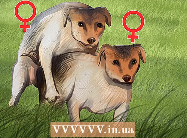 Как да определим пола на кученце
