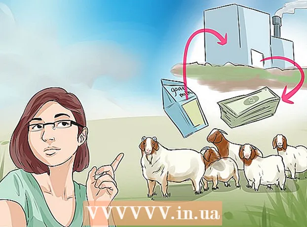 Comment ouvrir un élevage de chèvres