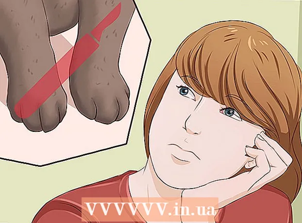 How to wean a cat from sharpening its claws on furniture