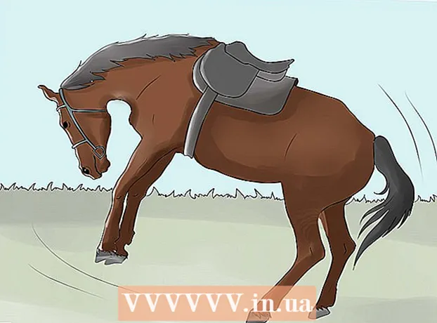 Hur man hindrar en häst från att sparka