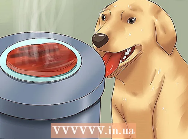 How to stop your dog from digging in a trash can or can