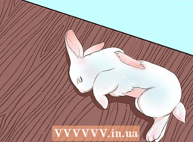 نحوه حمل خرگوش