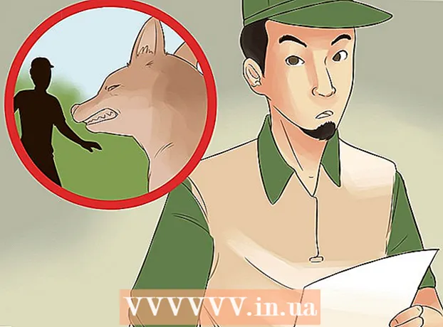 How to survive a coyote attack