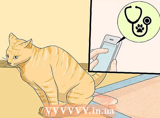 Jak czyścić kuwetę dla kota