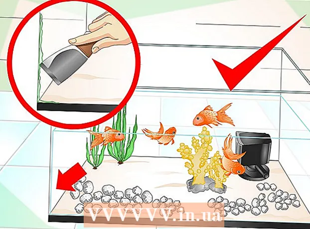 Kako ohraniti akvarij čistim?