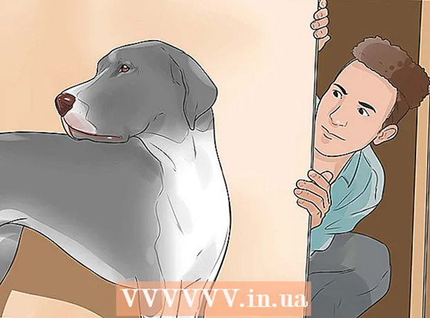 Како одржати лењог пса у форми