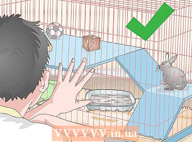 Hur man förbereder en kaninbur