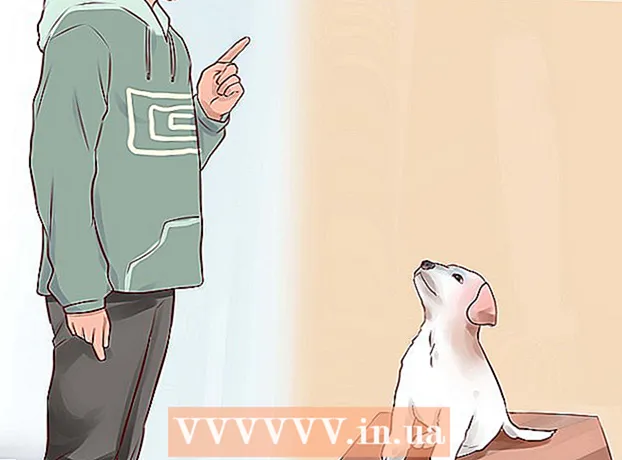 Si të përgatiteni për një qenush në shtëpinë tuaj