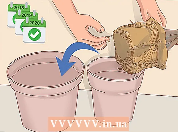 Cum să tăieți un copac de bani