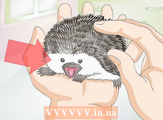 Kako se sprijateljiti s ljubimcem ježem