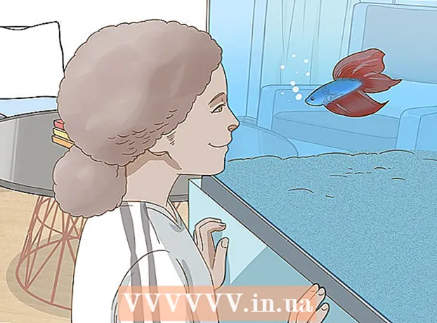 Hogyan barátkozzon a harci halakkal