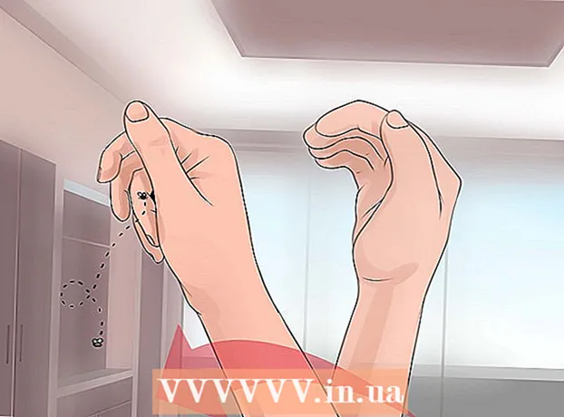 Com agafar una mosca amb les mans
