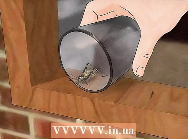 Hvordan fange en cricket inne i huset