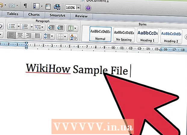 Come usare Microsoft Office Word 2007