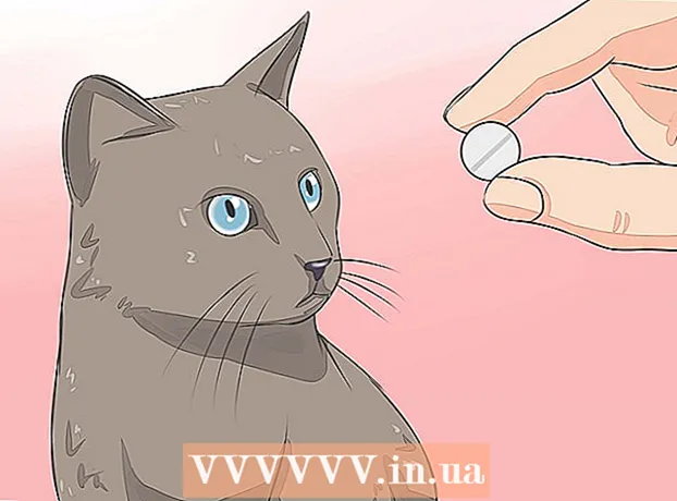 Bagaimana membantu kucing Anda jika bahunya patah
