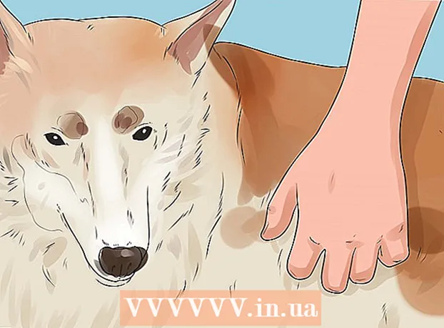 Ako pomôcť psovi úplne sa uvoľniť