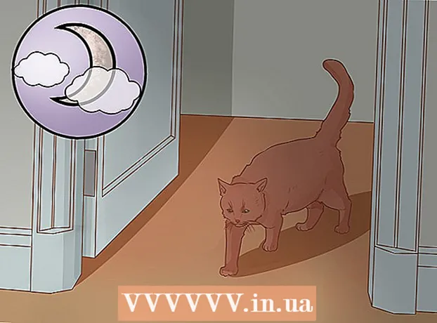 Kā iedrošināt jaunu kaķi izkļūt no slēptuves