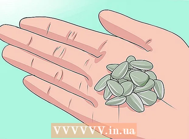 Como plantar sementes de girassol